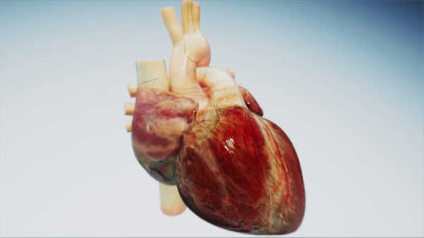 數(shù)字醫(yī)學(xué)動(dòng)畫(huà)