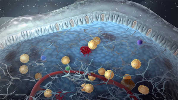 醫(yī)學(xué)3d科普動(dòng)畫(huà)